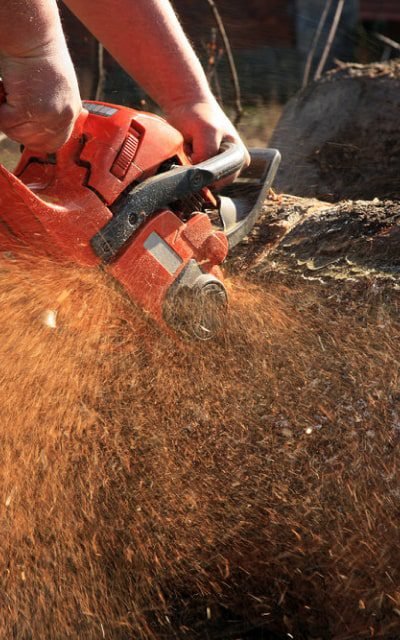 Agri Motoculture Blamontoise