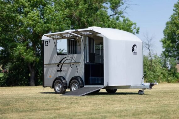 Van Minimax – Transport 3 Chevaux | Confort & Sécurité
