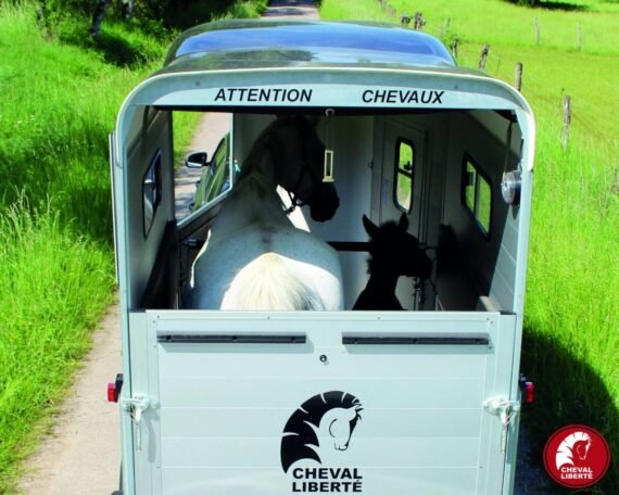 Van Cheval Liberté Touring One – 1.5 Place, Confort et Sécurité – Image 6